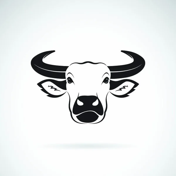 Vektor Mit Büffelkopf Design Auf Weißem Hintergrund Wilde Tiere Büffelkopf — Stockvektor