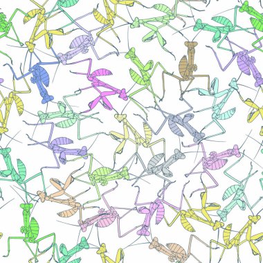 Colorful mantis on white seamless background. vector Colorful mantis on white seamless background. vector