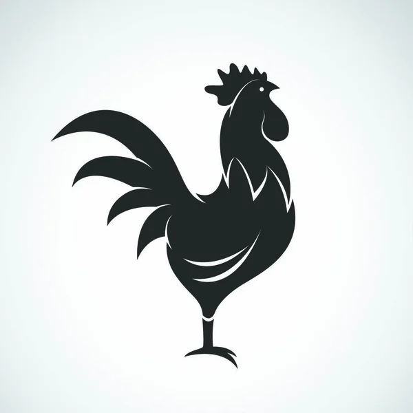 Vector Image Cock White Background — Stock Vector