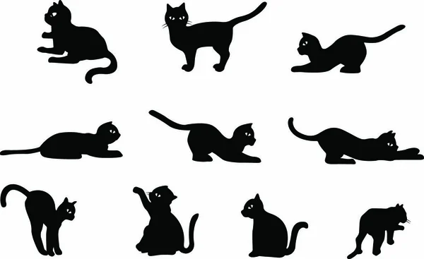 Samling Cat Vector Söt Svart Katt Illustration — Stock vektor