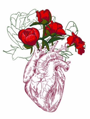 Anatomical Heart Flowers Human Drawing Flower Free Vector Eps Cdr Ai Svg Vector Illustration Graphic Art