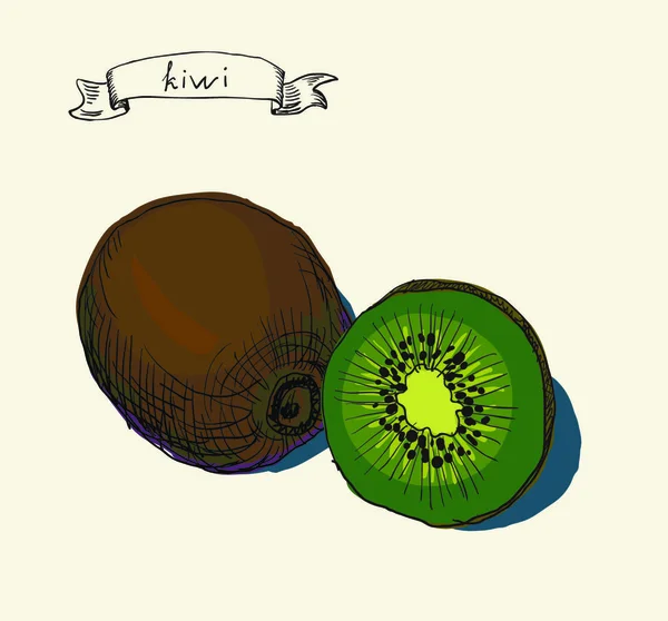 Nakrájené Kiwi Ovoce Celé Kiwi Izolované Bílo — Stockový vektor