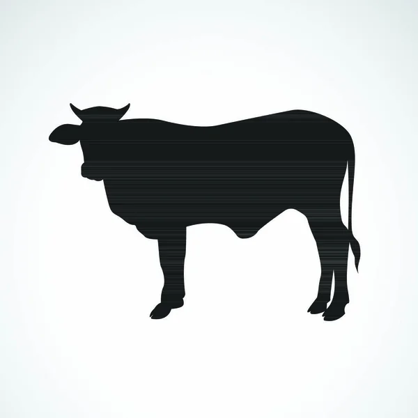Imagens Vetoriais Silhueta Vaca Fundo Branco —  Vetores de Stock