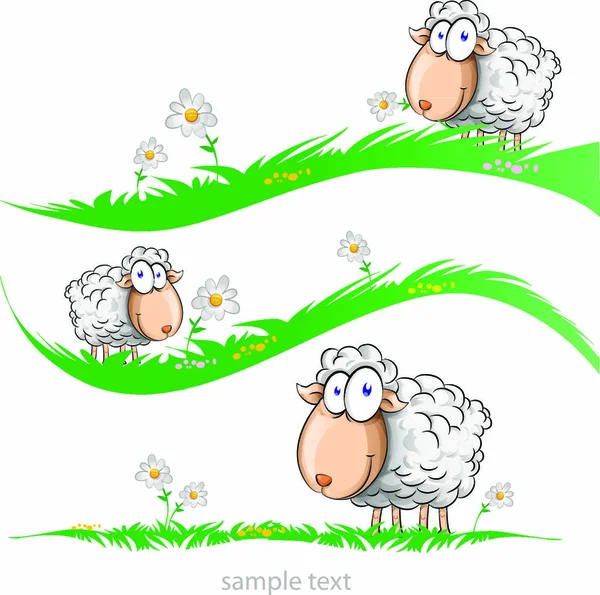 牧草地に設置された羊の漫画は — ストックベクタ