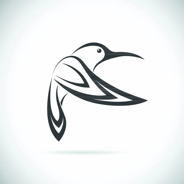 Beyaz Arkaplanda Bir Sinekkuşu Tasarımının Vektör Görüntüsü — Stok Vektör