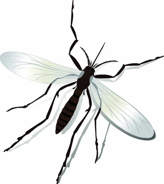 Ilustración Realista Mosquitos Sombras Objetos Aislados Agrupados Sobre Blanco — Archivo Imágenes Vectoriales