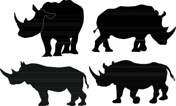 Colección Imágenes Vectoriales Rinoceronte — Vector de stock
