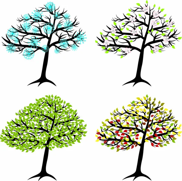 Сезонное Дерево Зимы Весны Лета Осени — стоковый вектор
