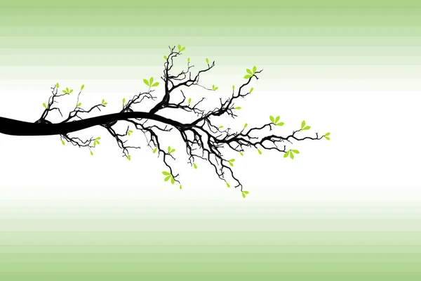 Yeşil Arkaplanda Yalıtılmış Bahar Ağacı Dalı — Stok Vektör