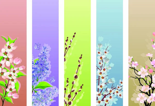 Kolekce Kvetoucích Větví Různých Pozadích — Stockový vektor