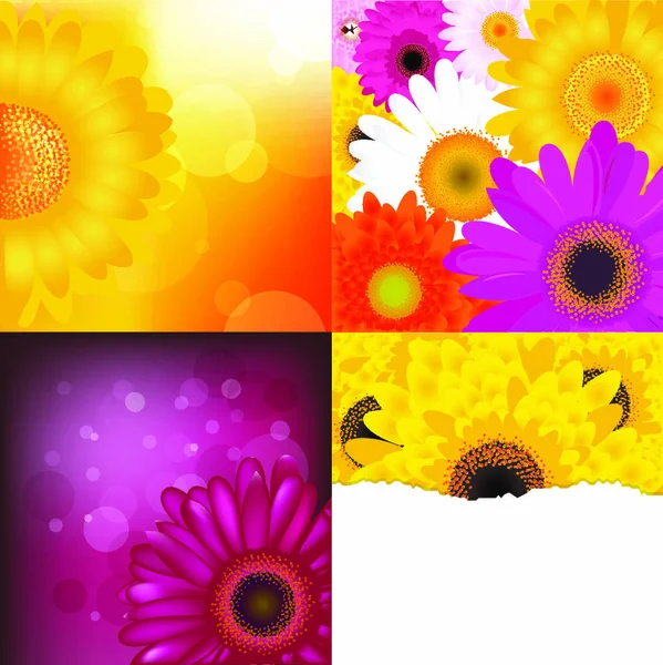 Flower Backgrounds Set Vector Illustration — Stock Vector