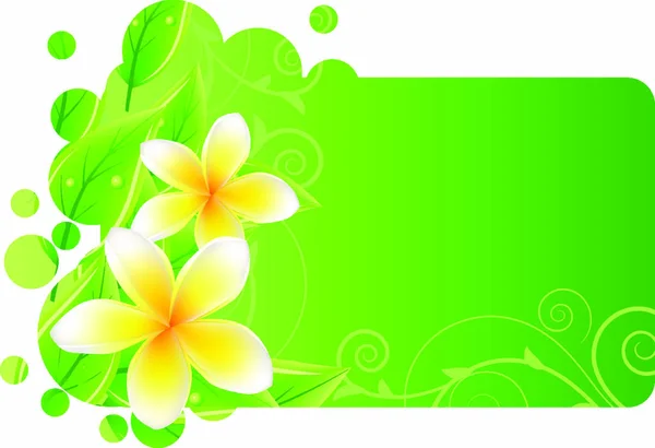 Πλαίσιο Φρέσκα Πράσινα Φύλλα Και Λευκά Λουλούδια — Διανυσματικό Αρχείο