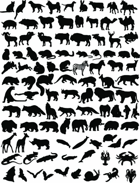 Honderd Zwarte Silhouetten Van Verschillende Dieren — Stockvector