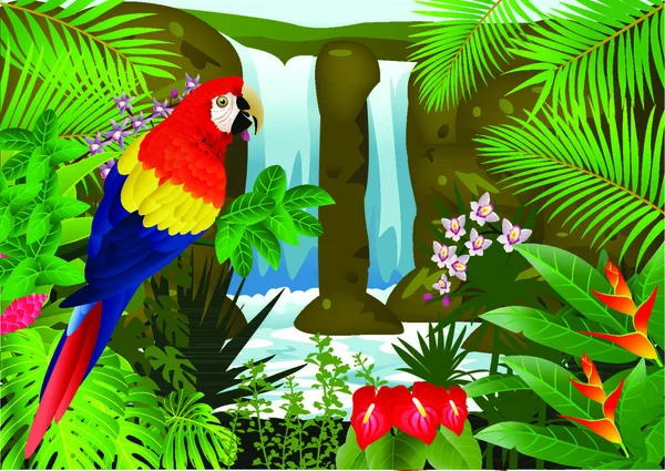 Vector Illustration Of Macaw bird with waterfall background