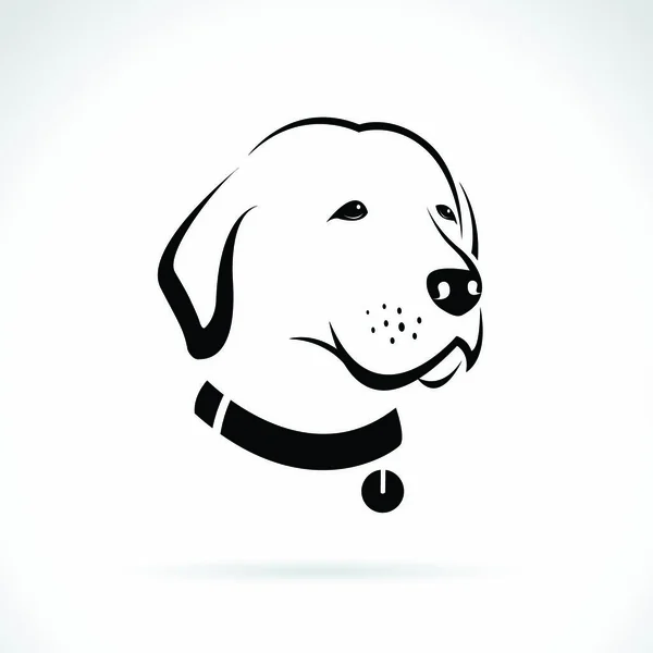 Wektorowy Wizerunek Głowy Psa Labradora Białym Tle — Wektor stockowy