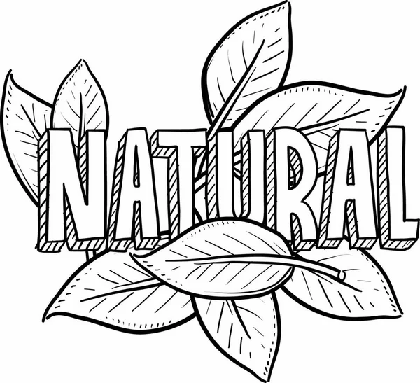 Doodle Stijl Natuurlijke Voeding Product Illustratie Vector Formaat Bevat Titeltekst — Stockvector