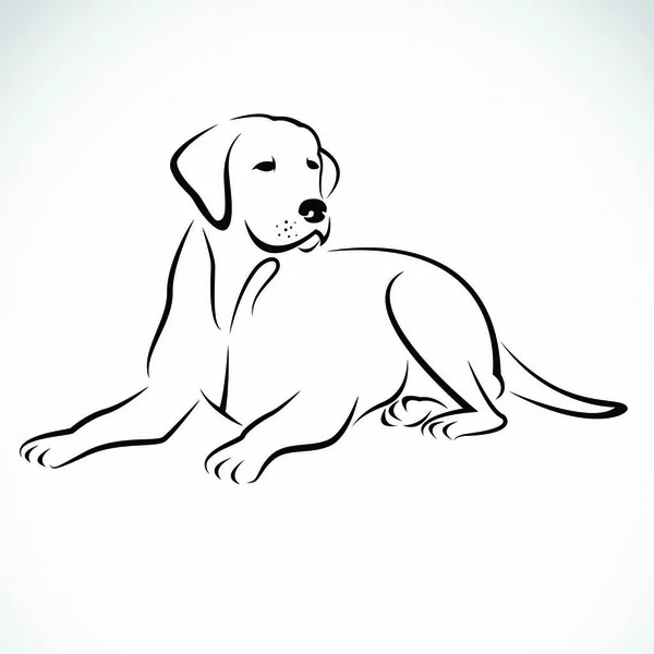 Διανυσματική Εικόνα Ενός Λαμπραντόρ Σκύλου Λευκό Φόντο — Διανυσματικό Αρχείο