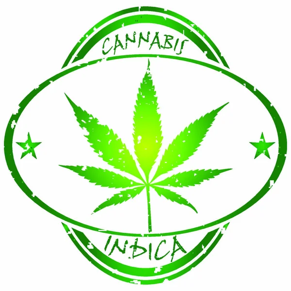 Carimbo Cannabis Isolado Fundo Branco Ilustração Arte Vetorial Abstrata — Vetor de Stock