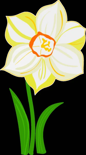 Narcisse Fleur Icône Plate Illustration Vectorielle — Image vectorielle