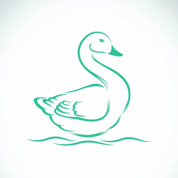 Vector Image Swan White Background — Stock Vector