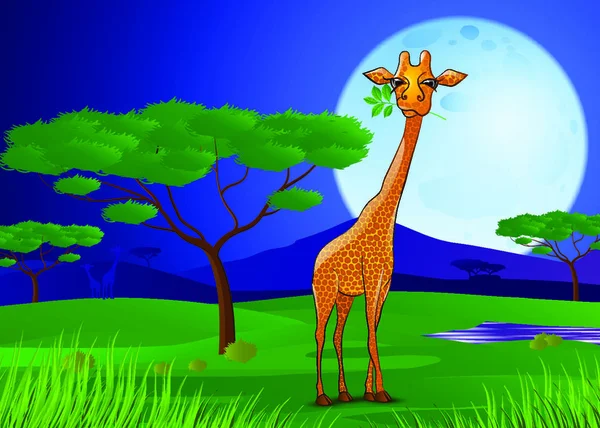 Illustration Vectorielle Girafe Mangeant Des Feuilles Afrique Coucher Soleil — Image vectorielle