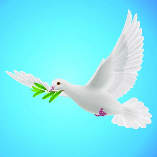 Dove Peace Flying Green Twig Flood Blue Background — Stock Vector