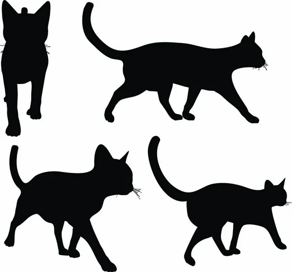 Eps Vectorverzameling Van Katten Silhouetten — Stockvector