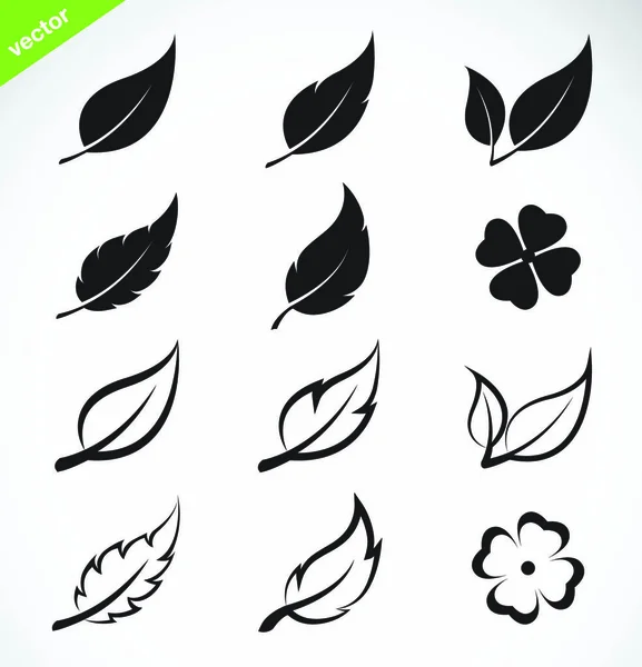 Vector Leaves Icon Set White Background — Stock Vector