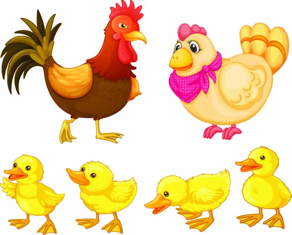 Rooster Hen Chicks White — Stock Vector