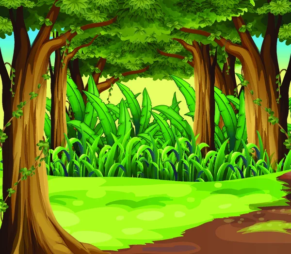 Ilustración Los Árboles Gigantes Bosque — Vector de stock