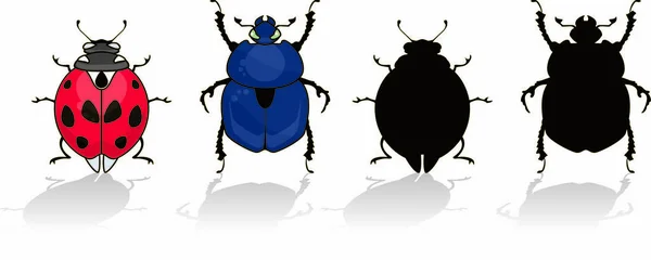 Ladybug Beetle Isolated White His Silhouette — Stock Vector
