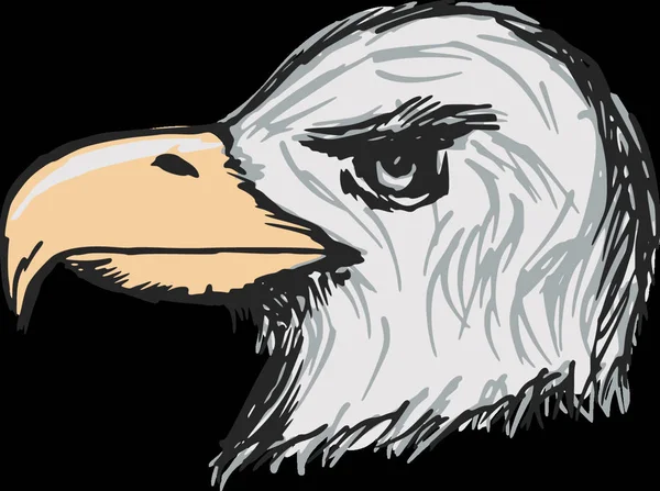 Ručně Kreslené Skica Kreslené Ilustrace Amerického Orla Bělohlavého — Stockový vektor