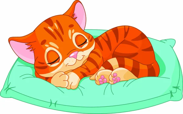 Cute Kitten Sleeping Blue Pillow — Stock Vector