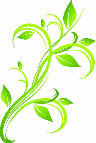 Beyaz Yapraklı Soyut Yeşil Çiçek Tasarımı — Stok Vektör