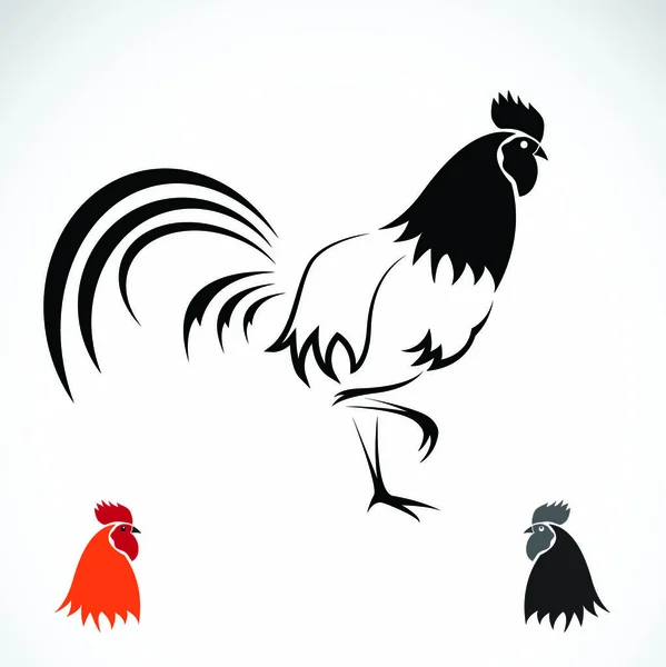 Vector Image Cock White Background — Stock Vector