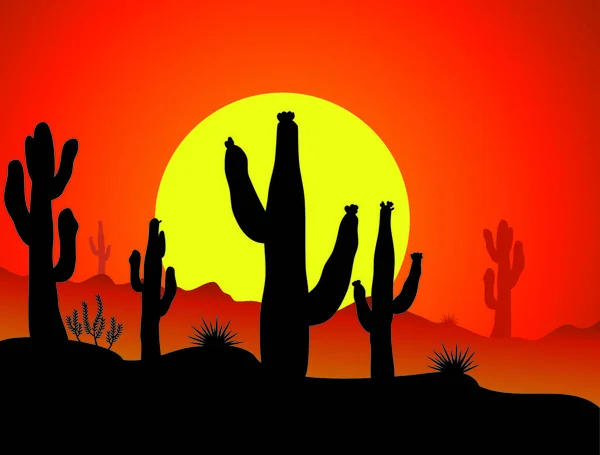 Cacto Vetorial Deserto Nascer Sol Pôr Sol — Vetor de Stock