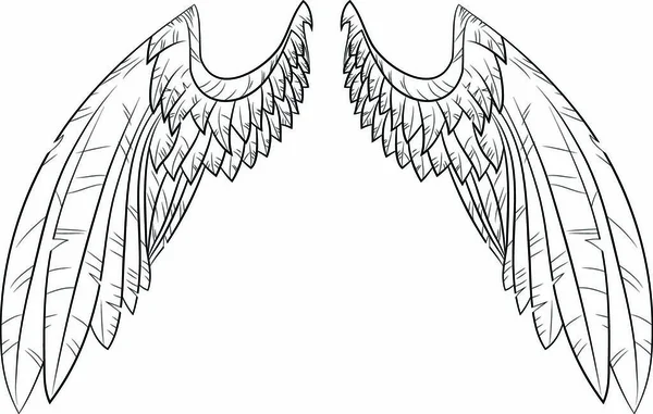 Vektorová Ilustrační Křídla Eps — Stockový vektor