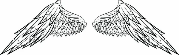 Φτερά Διανυσματικής Απεικόνισης Eps — Διανυσματικό Αρχείο