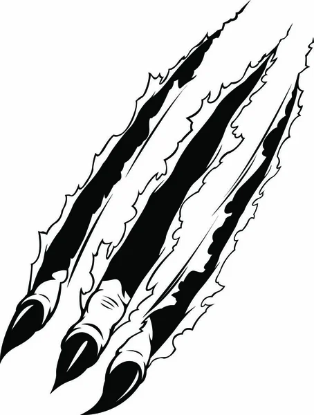Claws Ripping Symbolizing Rage Ferocity Animal — Stock Vector