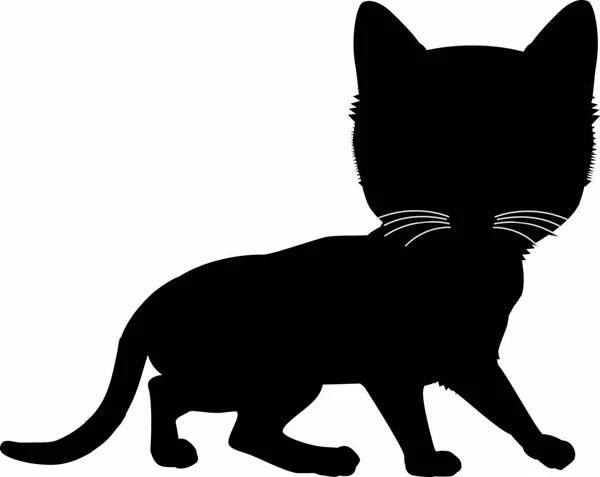 Silueta Negra Gato Ilustración Vectorial — Vector de stock