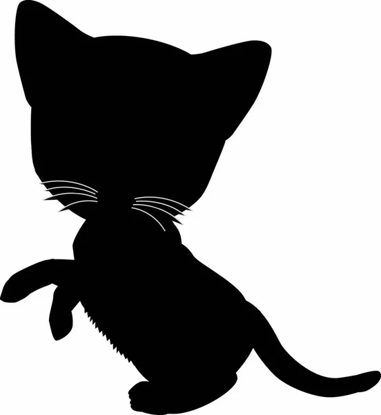 Silueta Negra Gato Ilustración Vectorial — Vector de stock