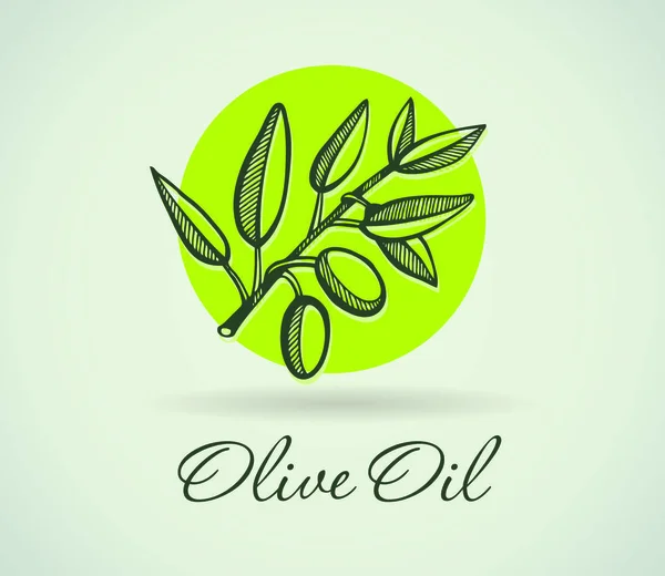 Vektorillustration Von Hand Drawing Olive — Stockvektor