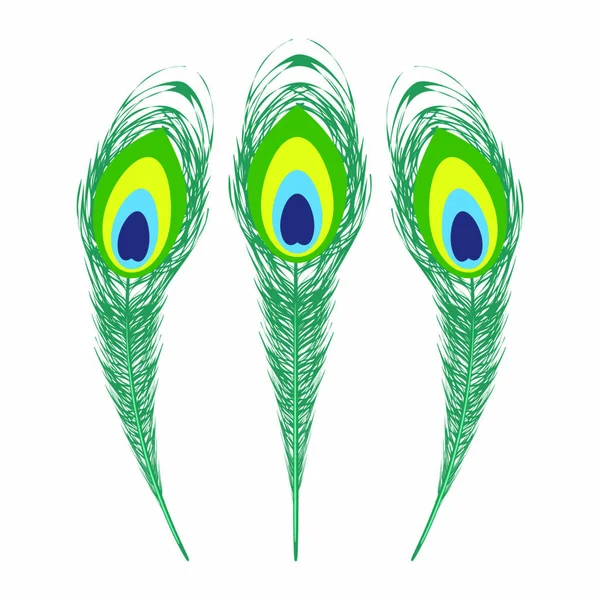 Sada Barevných Peří Peacock Izolované Bílém Pozadí — Stockový vektor