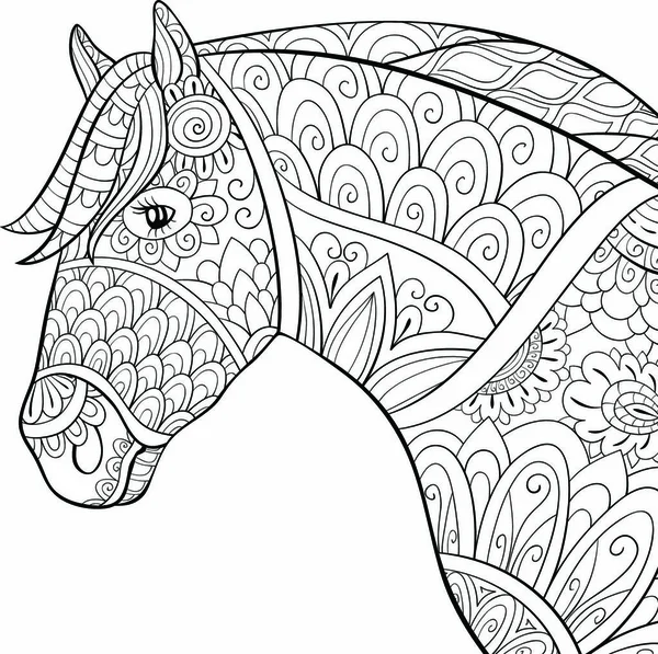 Caballo Lindo Con Imagen Los Ornamentos Para Actividad Que Relaja — Vector de stock