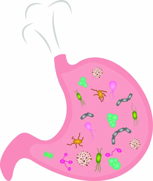 Stomack Lleno Microbios Vector Ilustración Estilo Dibujos Animados — Vector de stock