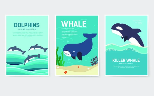 Deniz Memelileri Desen Konsepti Sanat Hayvanı Dergi Kitap Poster Özet — Stok Vektör