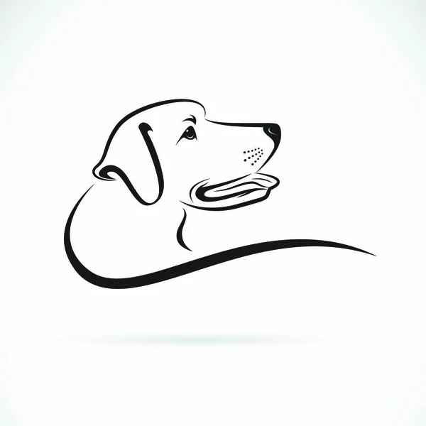 Vector Cabeza Perro Labrador Sobre Fondo Blanco Pet Animales Fácil — Vector de stock