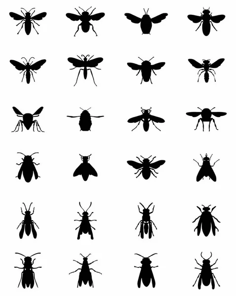 Zwarte Silhouetten Van Bijen Wespen Een Witte Achtergrond — Stockvector