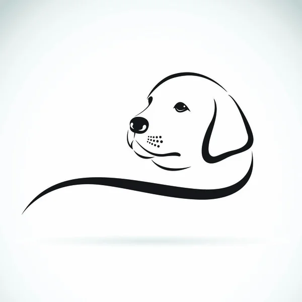 Vector Cabeza Perro Labrador Sobre Fondo Blanco — Vector de stock