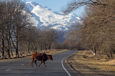 Kabardino-Balkaria, Rusya 'nın Kuzey Kafkasya' da bulunan federal bir konusudur..